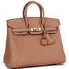 Hermès Birkin 25 Chai Ostrich GHW