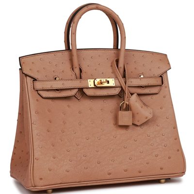 Hermès Birkin 25 Chai Ostrich GHW 