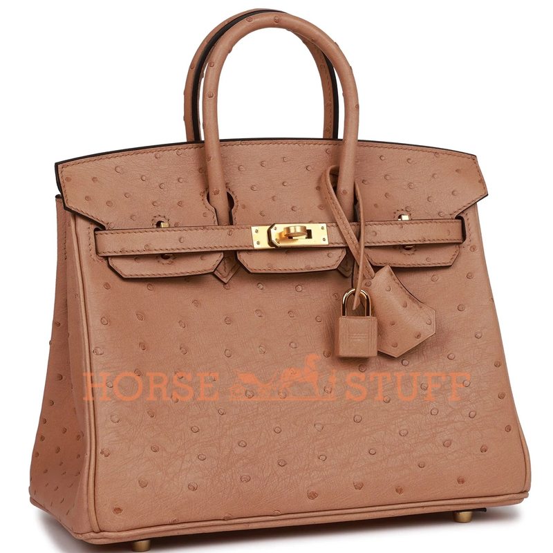 Hermès Birkin 25 Chai Ostrich GHW