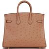 Hermès Birkin 25 Chai Ostrich GHW