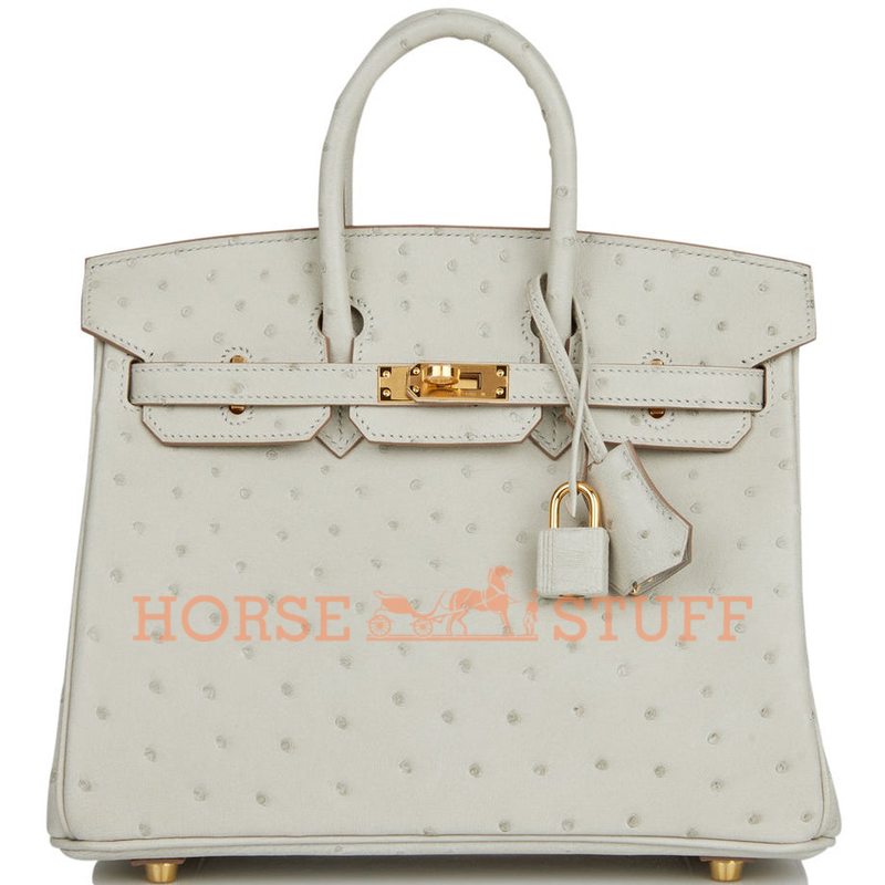 Hermès Birkin 25 Gris Perle Ostrich GHW