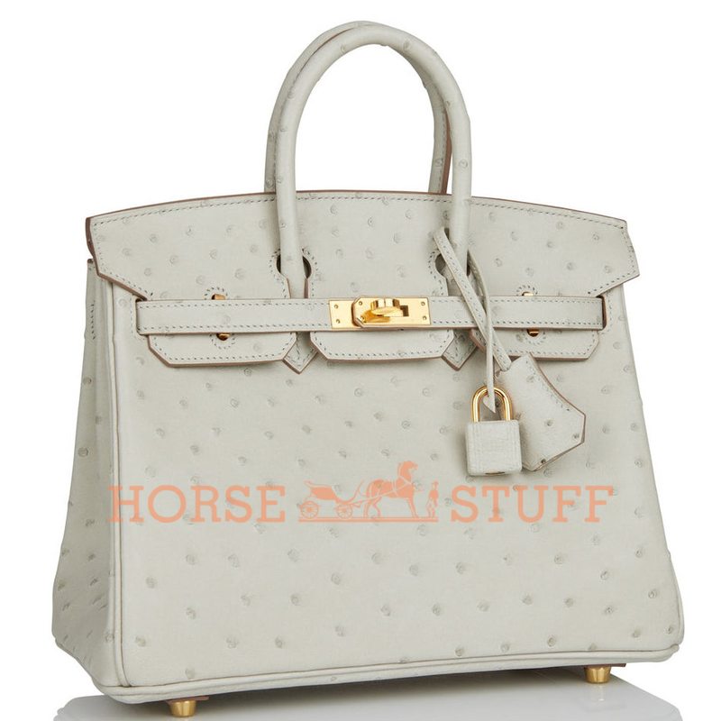 Hermès Birkin 25 Gris Perle Ostrich GHW