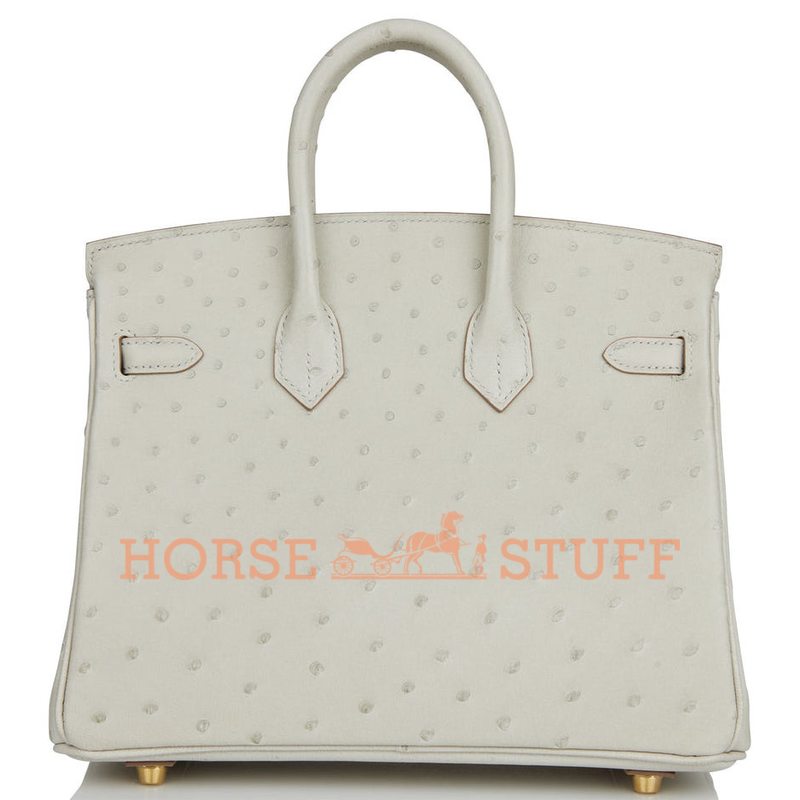 Hermès Birkin 25 Gris Perle Ostrich GHW