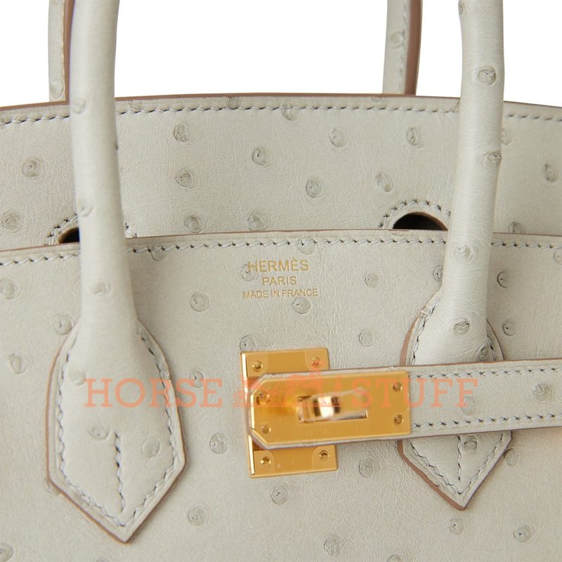 Hermès Birkin 25 Gris Perle Ostrich GHW