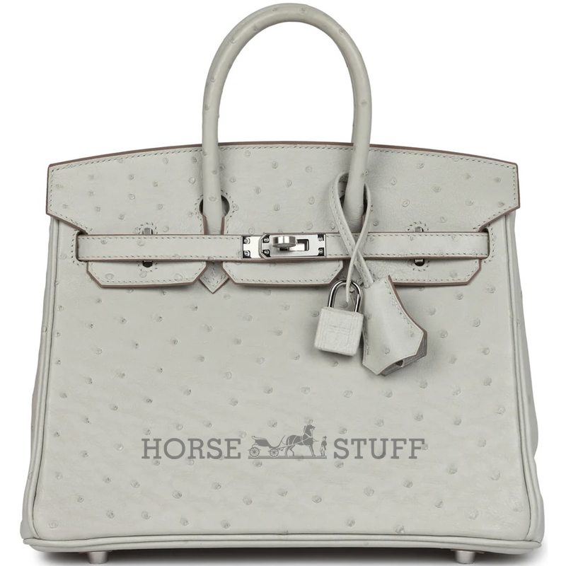 Hermès Birkin 25 Gris Perle Ostrich PHW