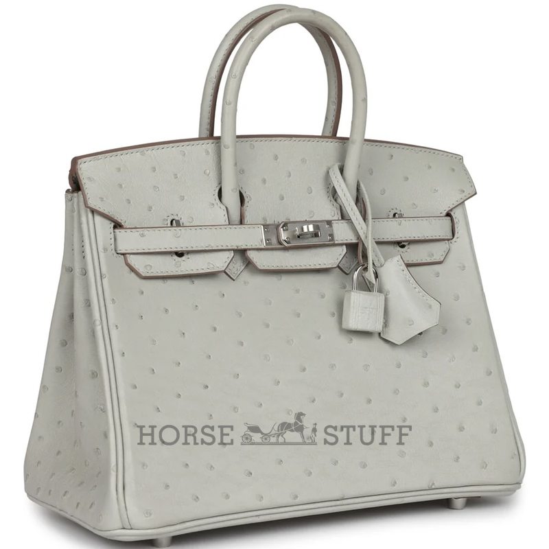 Hermès Birkin 25 Gris Perle Ostrich PHW