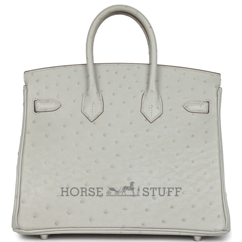 Hermès Birkin 25 Gris Perle Ostrich PHW