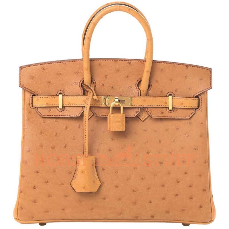 Hermès Birkin 25 Mustard Ostrich GHW