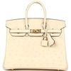 Hermès Birkin 25 Nata Ostrich GHW