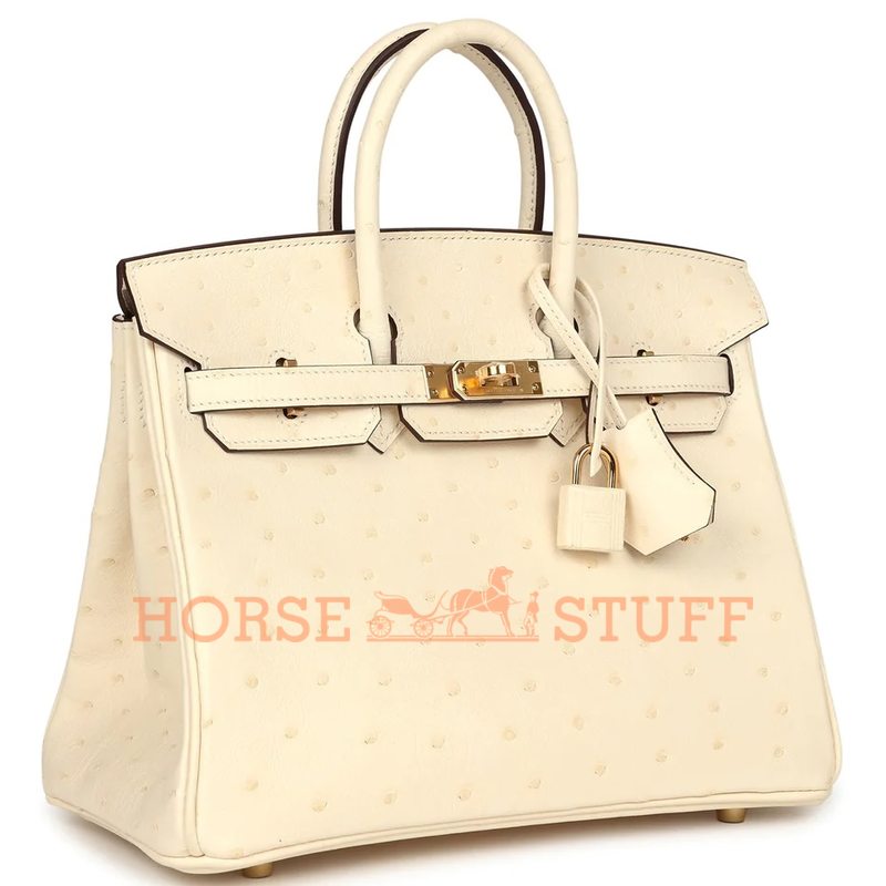 Hermès Birkin 25 Nata Ostrich GHW