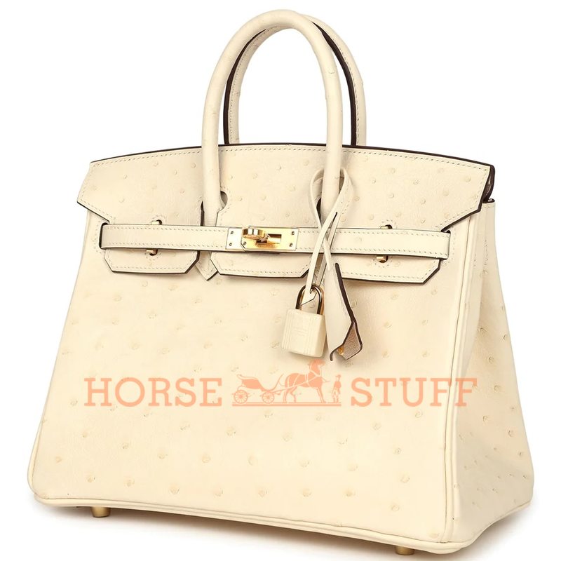 Hermès Birkin 25 Nata Ostrich GHW