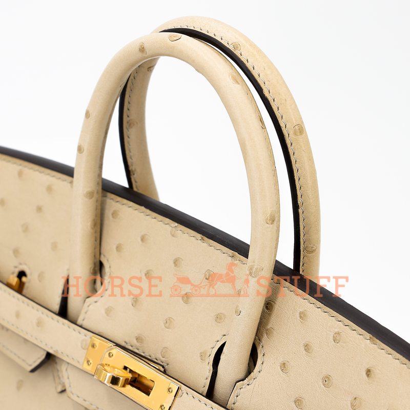 Hermès Birkin 25 Parchemin Ostrich GHW