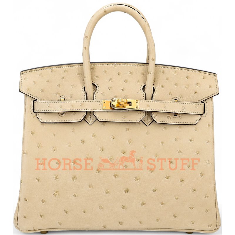 Hermès Birkin 25 Parchemin Ostrich GHW