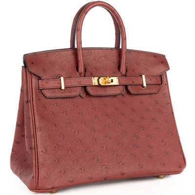 Hermès Birkin 25 Rouge H Ostrich GHW