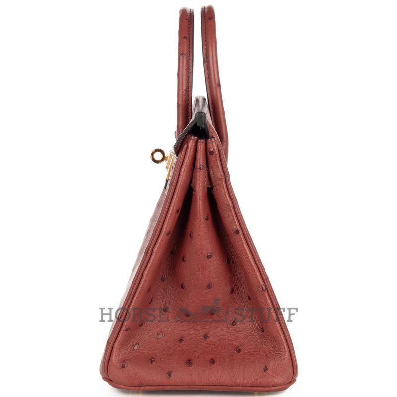 Hermès Birkin 25 Jaune Milton Ostrich PHW