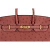 Hermès Birkin 25 Jaune Milton Ostrich PHW