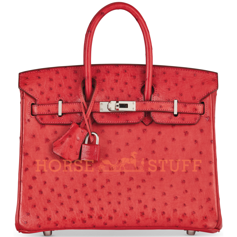 Hermès Birkin 25 Rouge Vif Ostrich PHW