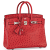 Hermès Birkin 25 Rouge Vif Ostrich PHW