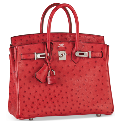 Hermès Birkin 25 Rouge Vif Ostrich PHW 
