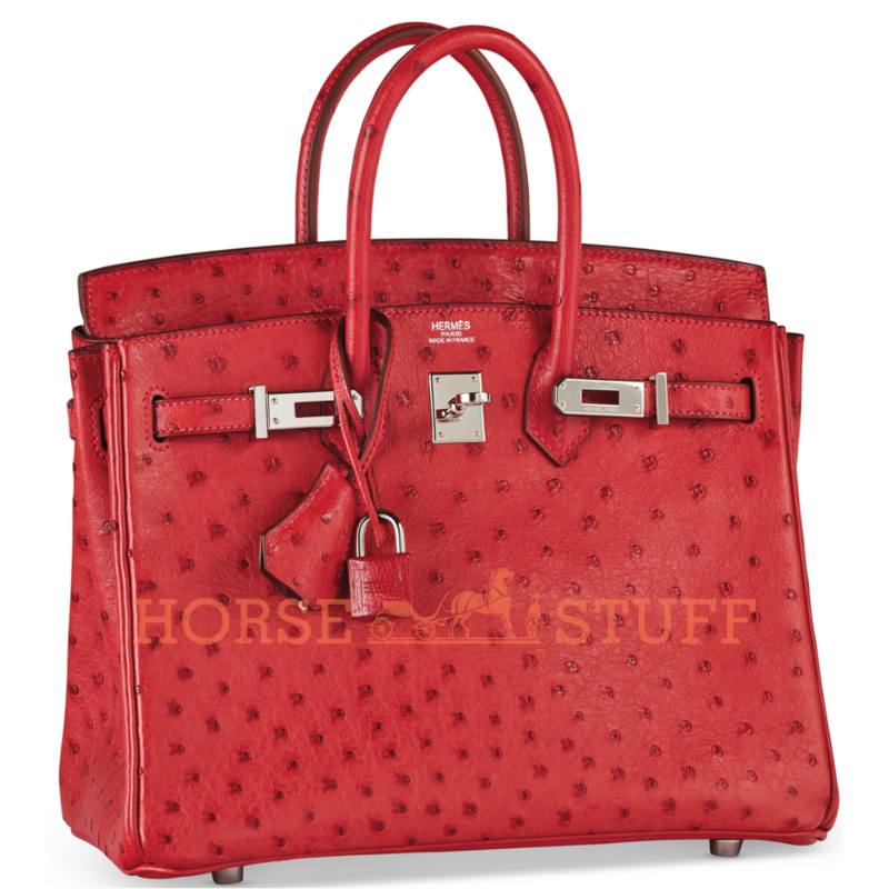 Hermès Birkin 25 Rouge Vif Ostrich PHW