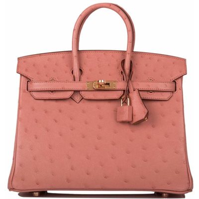 Hermès Birkin 25 Terre Cuite Ostrich GHW 