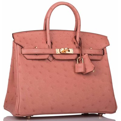 Hermès Birkin 25 Terre Cuite Ostrich GHW 