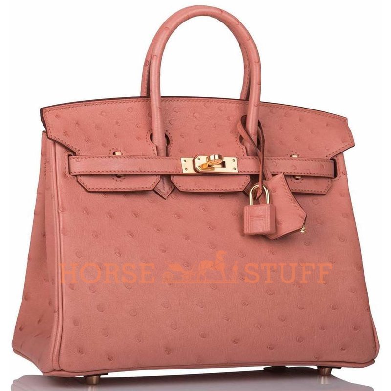 Hermès Birkin 25 Terre Cuite Ostrich GHW