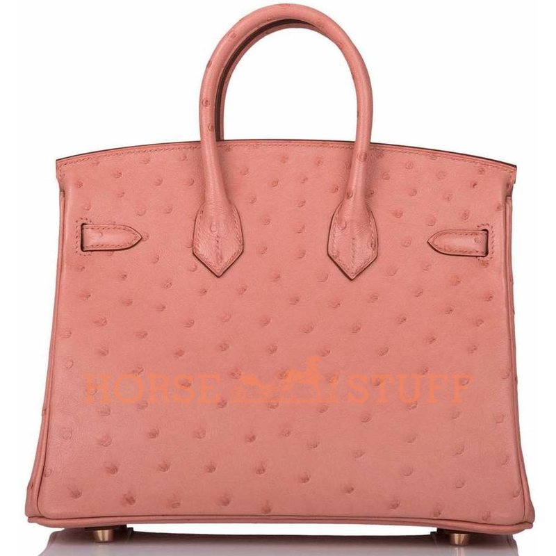 Hermès Birkin 25 Terre Cuite Ostrich GHW