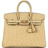 Hermès Birkin 25 Trench Ostrich GHW