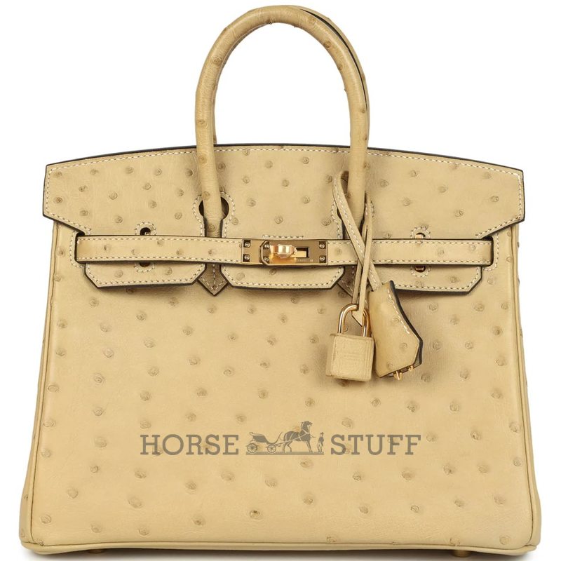 Hermès Birkin 25 Trench Ostrich GHW