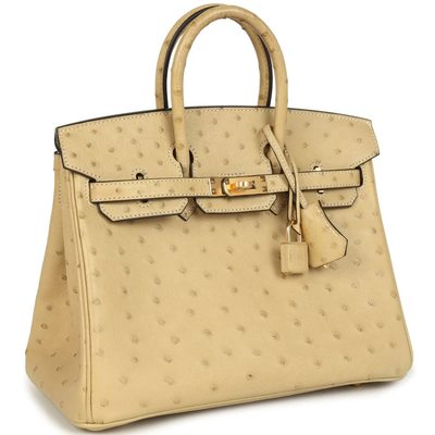 Hermès Birkin 25 Trench Ostrich GHW