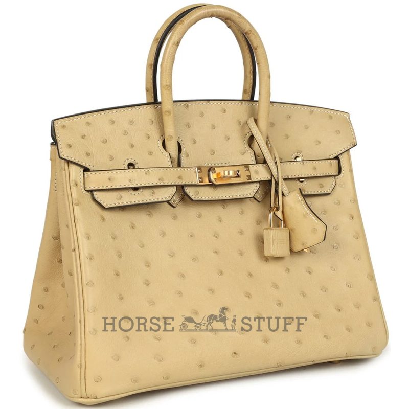 Hermès Birkin 25 Trench Ostrich GHW