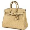 Hermès Birkin 25 Trench Ostrich GHW