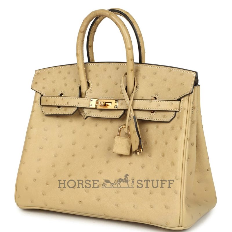Hermès Birkin 25 Trench Ostrich GHW