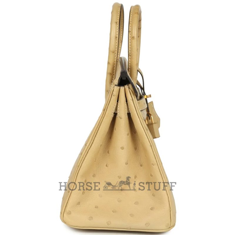 Hermès Birkin 25 Trench Ostrich GHW