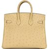 Hermès Birkin 25 Trench Ostrich GHW