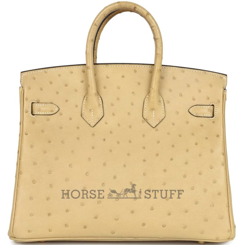Hermès Birkin 25 Trench Ostrich GHW