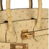 Hermès Birkin 25 Trench Ostrich GHW