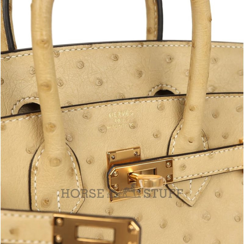 Hermès Birkin 25 Trench Ostrich GHW