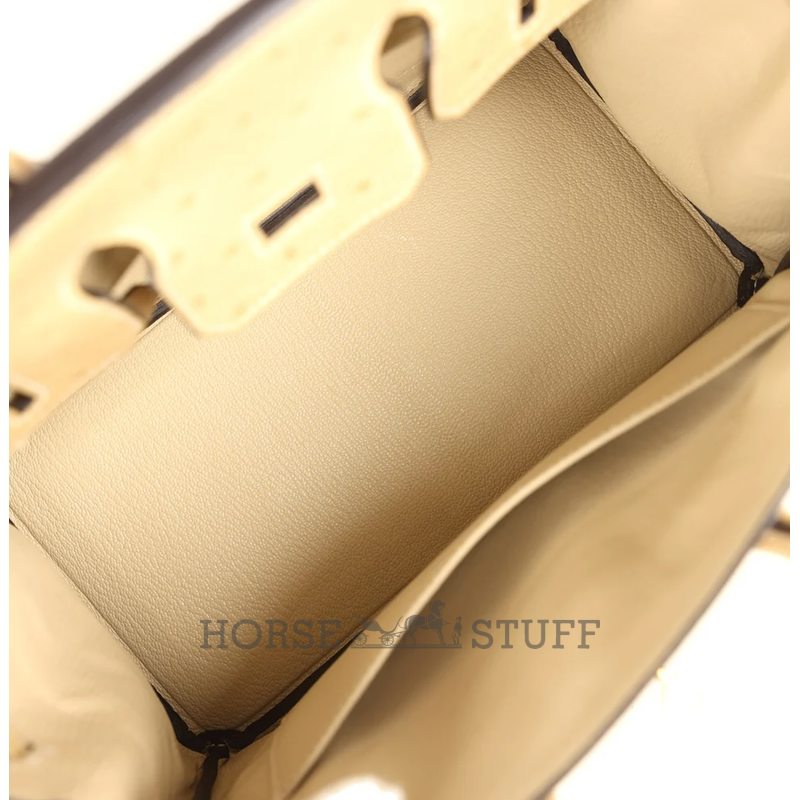 Hermès Birkin 25 Trench Ostrich GHW