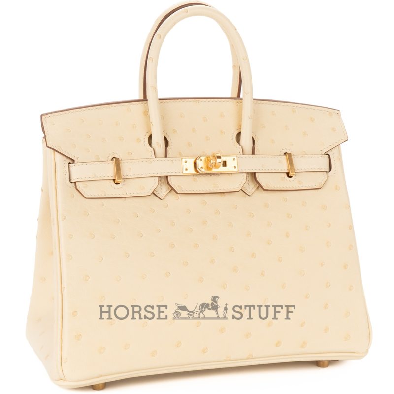 Hermès Birkin 25 Jaune Milton Ostrich PHW