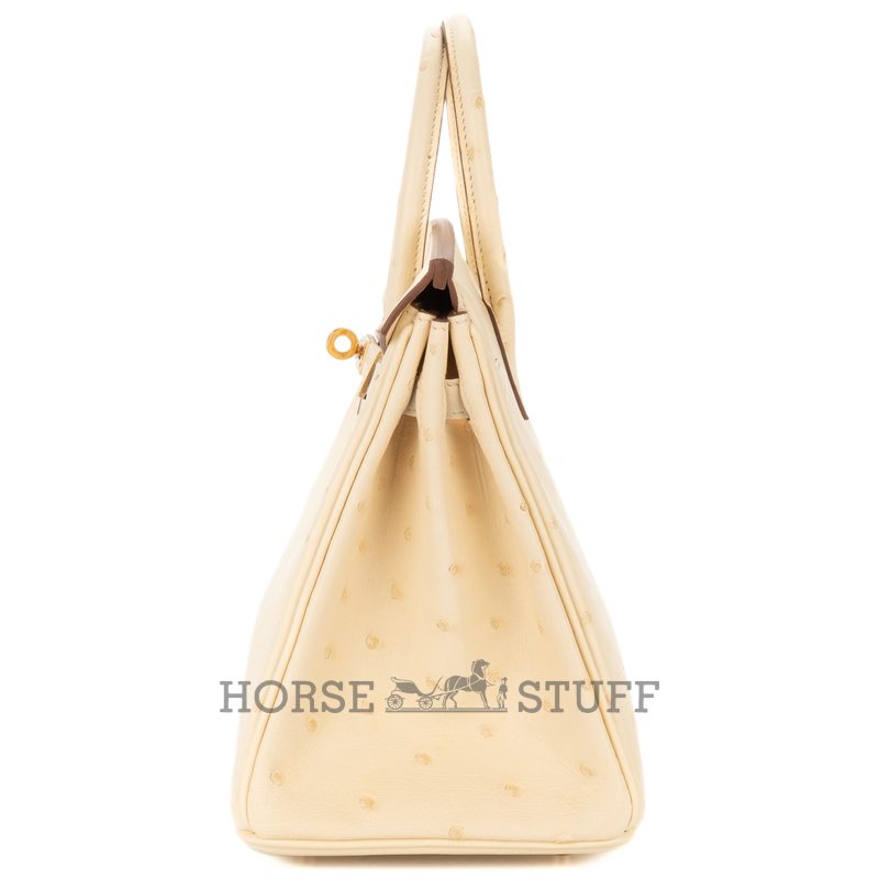 Hermès Birkin 25 Jaune Milton Ostrich PHW