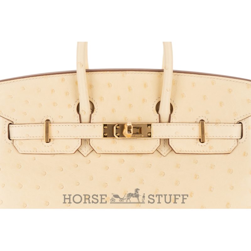 Hermès Birkin 25 Jaune Milton Ostrich PHW