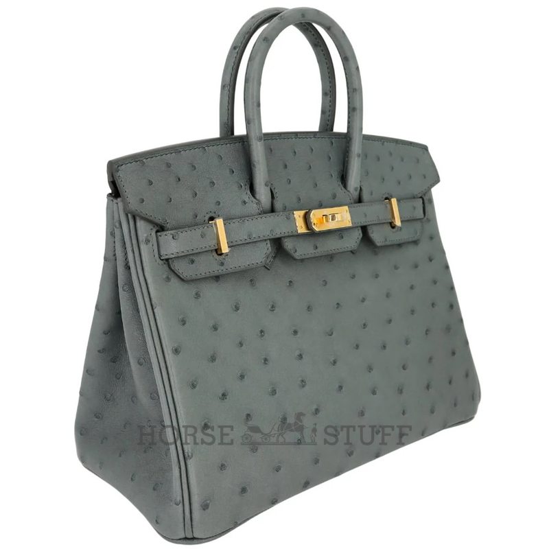 Hermès Birkin 25 Vert Amande Ostrich GHW