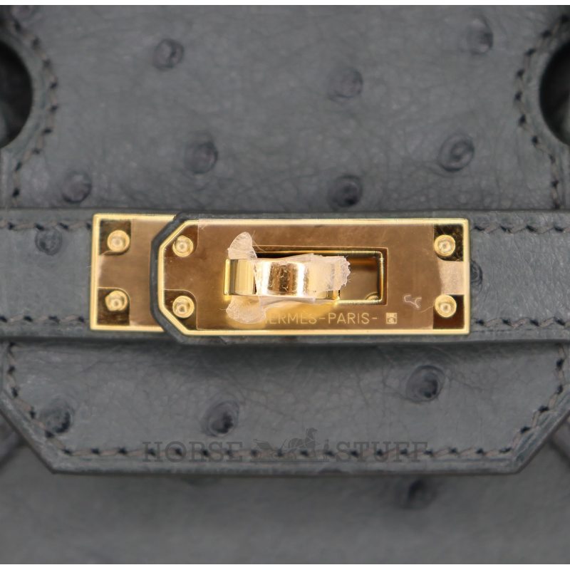 Hermès Birkin 25 Vert Amande Ostrich GHW