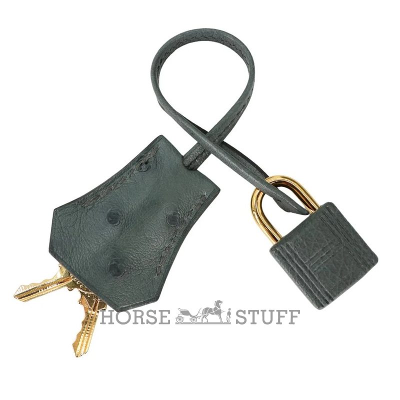Hermès Birkin 25 Vert Amande Ostrich GHW