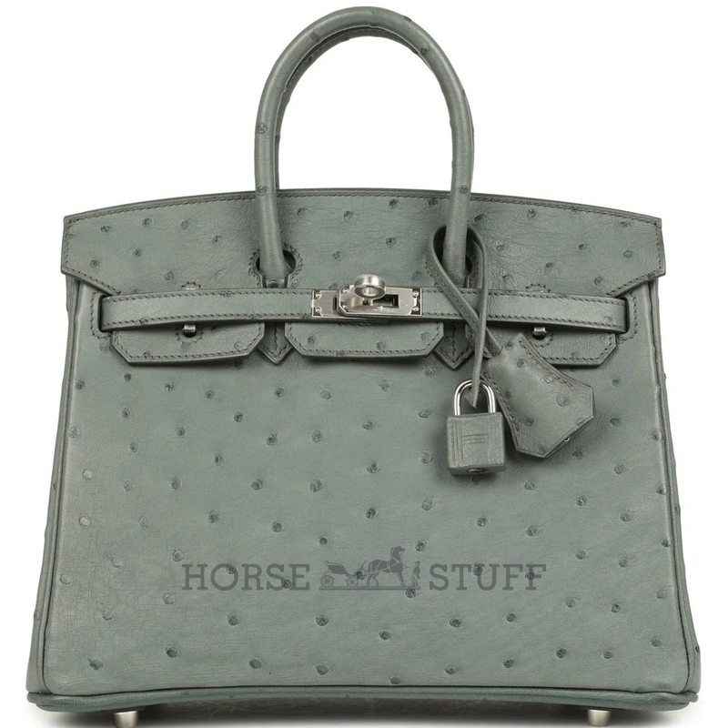 Hermès Birkin 25 Vert Amande Ostrich PHW