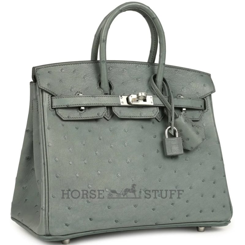 Hermès Birkin 25 Vert Amande Ostrich PHW