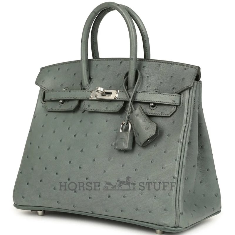 Hermès Birkin 25 Vert Amande Ostrich PHW