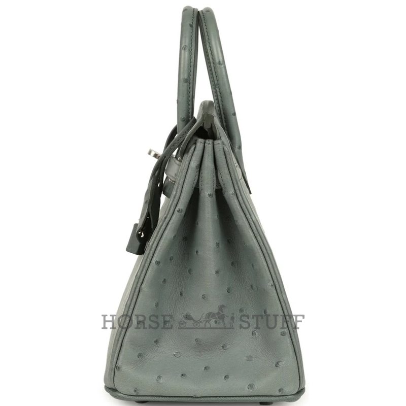 Hermès Birkin 25 Vert Amande Ostrich PHW